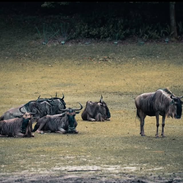  ......fehood   'recent posts' 