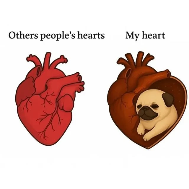  .....of.pug   'recent posts' 