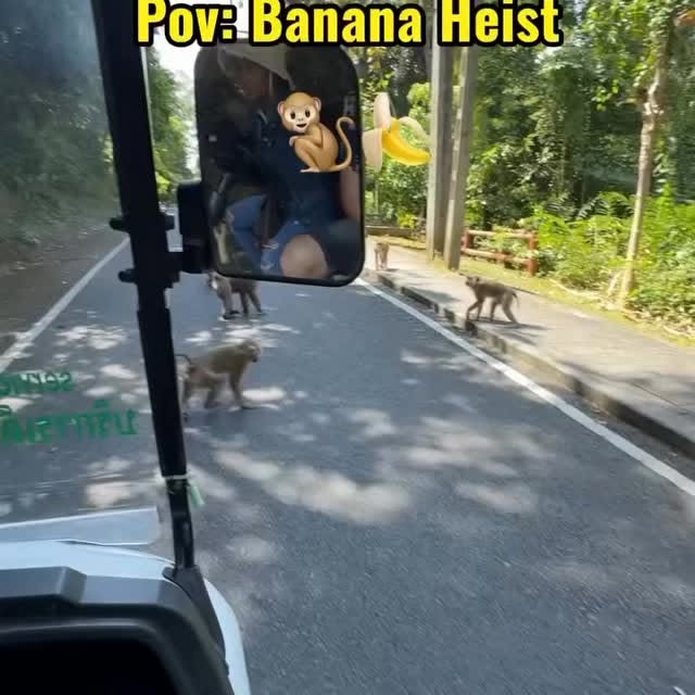  .......posting   'recent posts' 