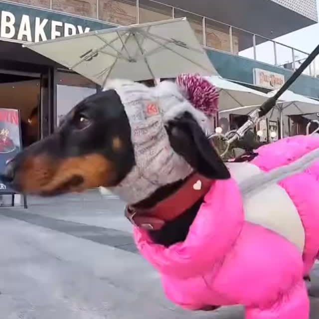  ..........fan.club_   'recent posts' 