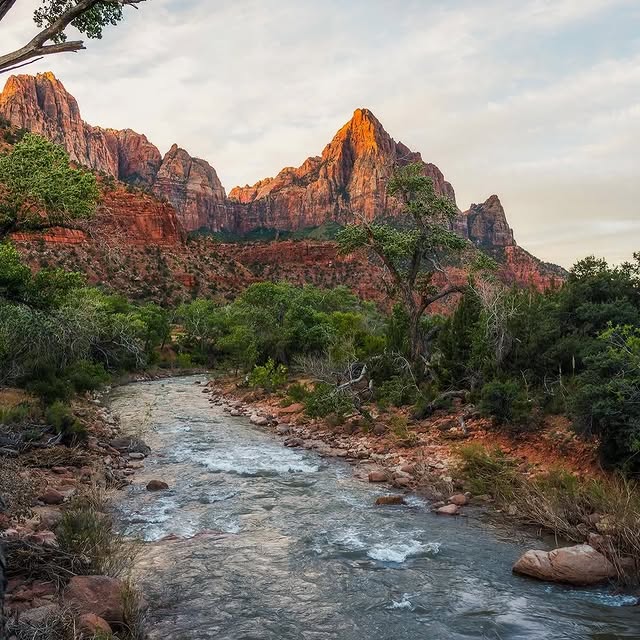  .......utevibes   'recent posts' 