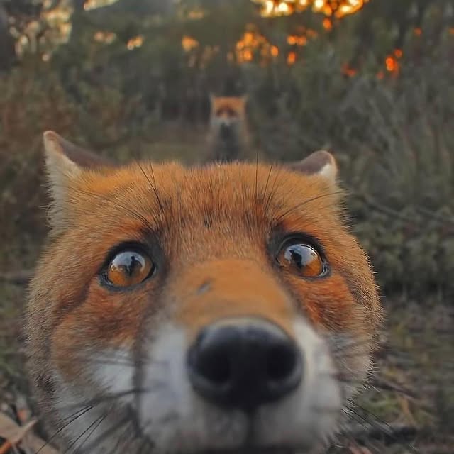  ......fervor   'recent posts' 