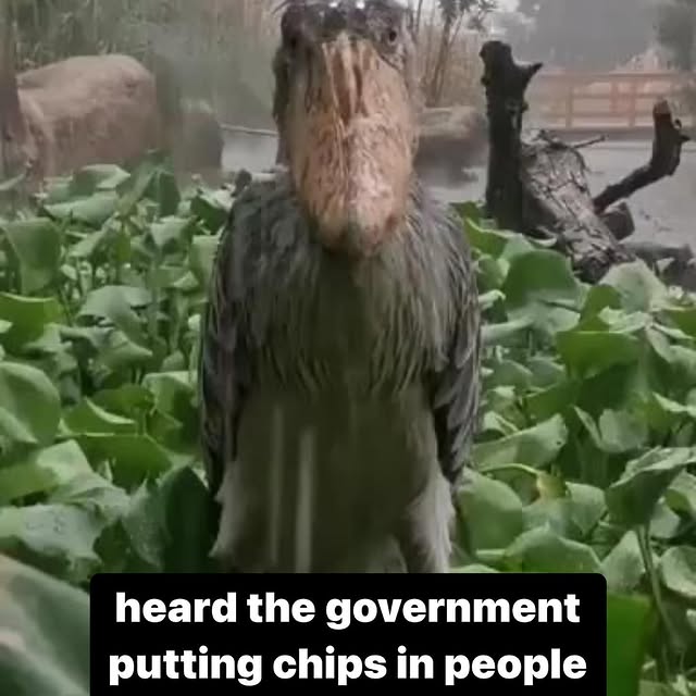  ..........rdoftheday   'recent posts' 