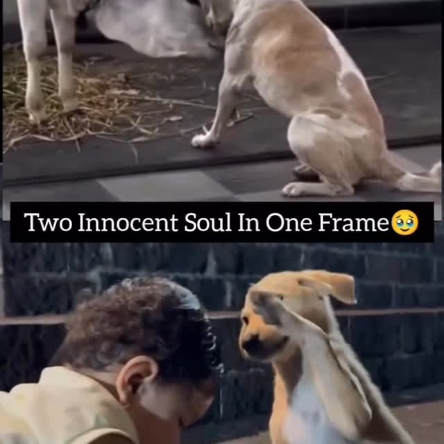  ......estige   'recent posts' 