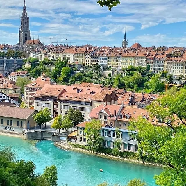  .......radises   'recent posts' 