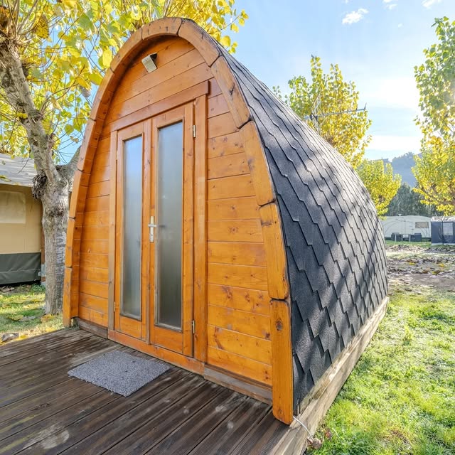  .......sespics   'recent posts' 