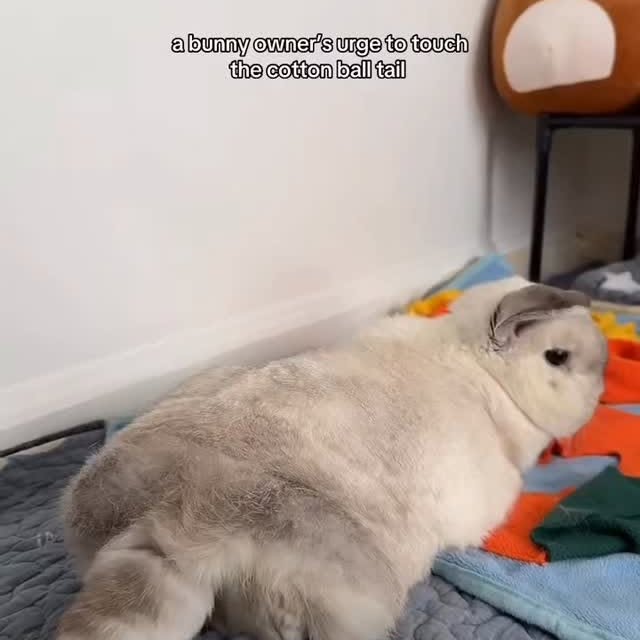  .......inheart   'recent posts' 