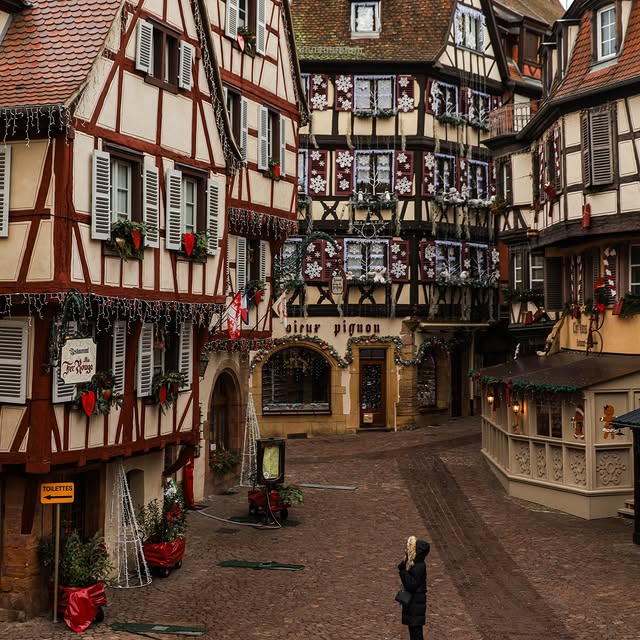  ......_babini   'recent posts' 