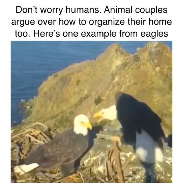  ........rldsnews   'recent posts' 