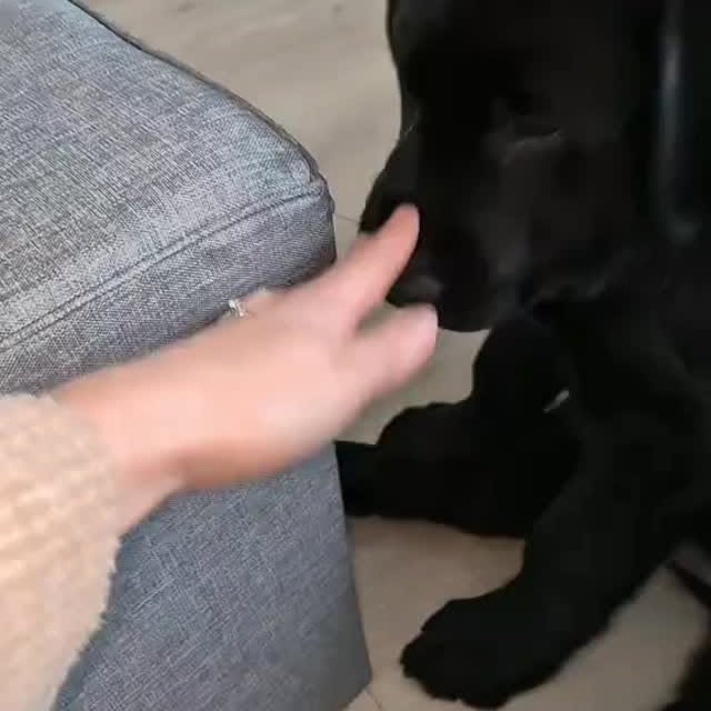  ....ofk9   'recent posts' 