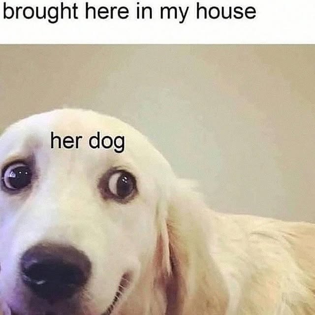  ......orable   'recent posts' 