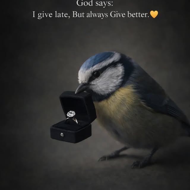  ............quotes_trends   'recent posts' 