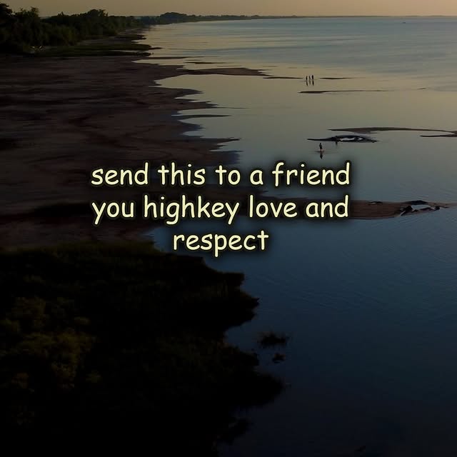  .....slv   'recent posts' 