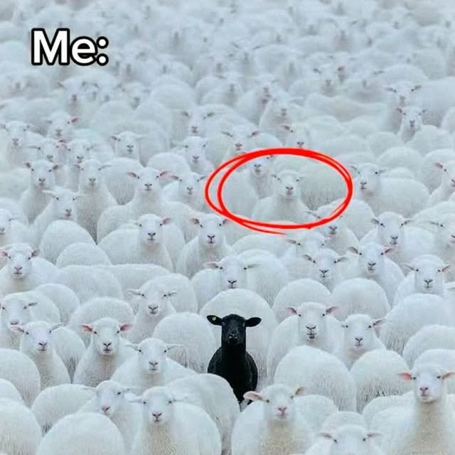  ....lett   'recent posts' 