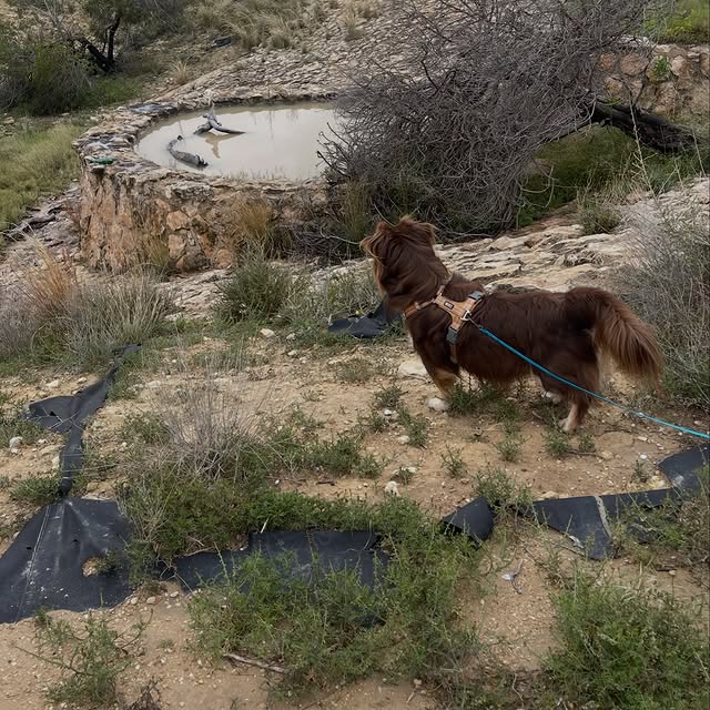  .....og2020   'recent posts' 