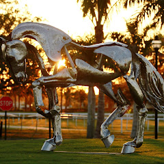 Hire .....ageHub influencer with 59.7k