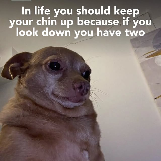  .......dstories   'recent posts' 