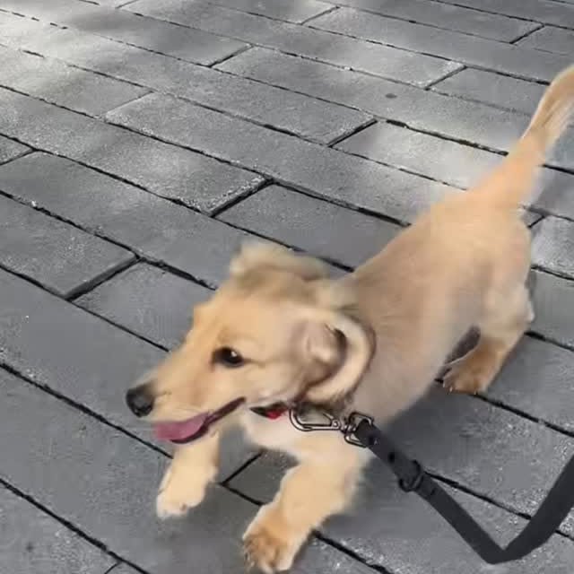  ..ps   'recent posts' 