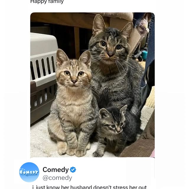  ...edy   'recent posts' 