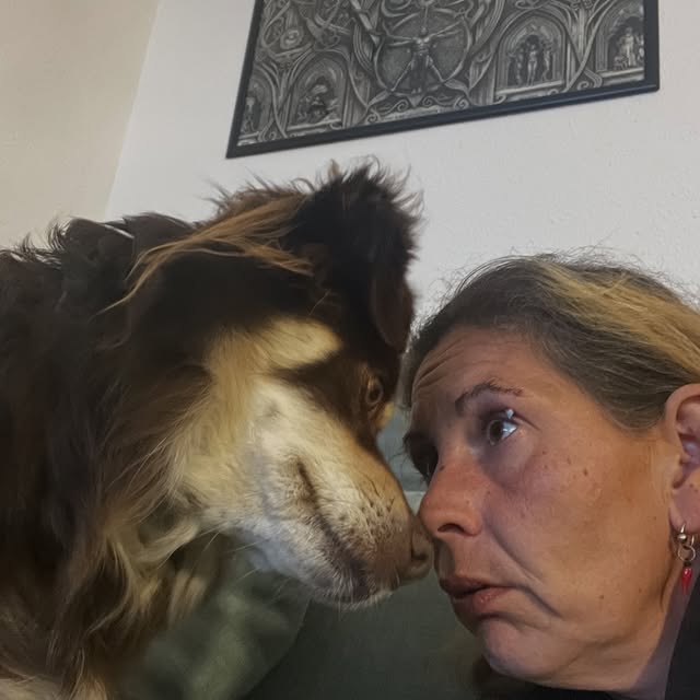  .....og2020   'recent posts' 