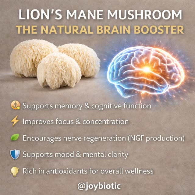  .....lvibee   'recent posts' 