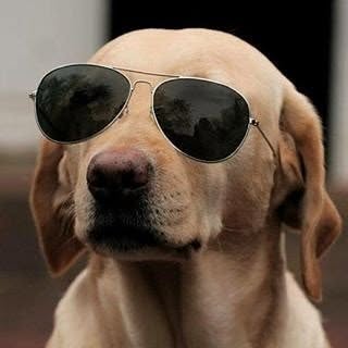 Hire .......r_class influencer with 221.2k