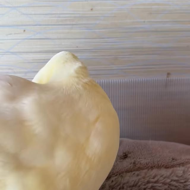  ........ckstatue   'recent posts' 