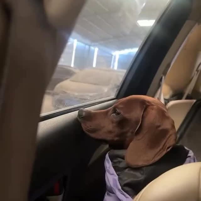  ..........fan.club_   'recent posts' 