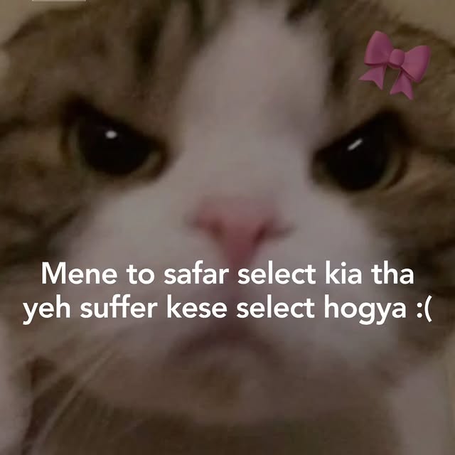  .......dstories   'recent posts' 