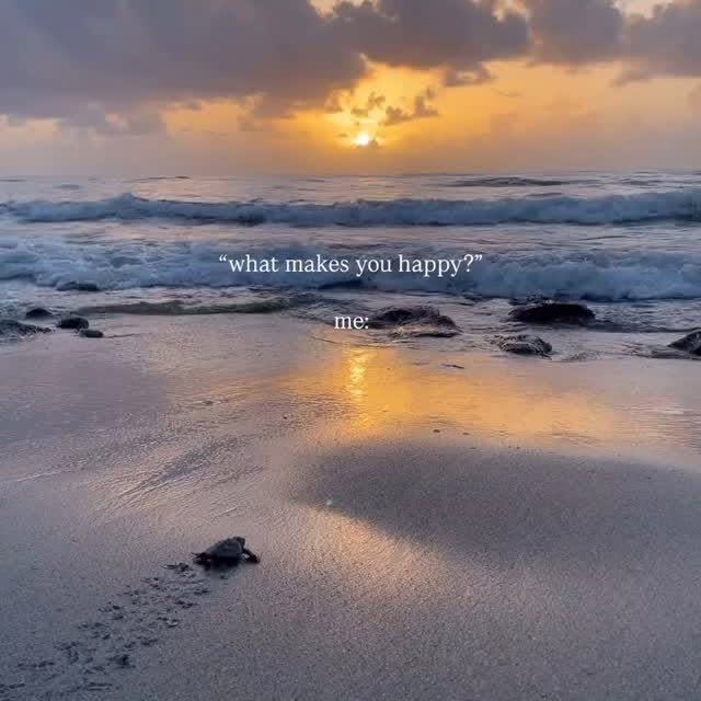  ......urneys   'recent posts' 