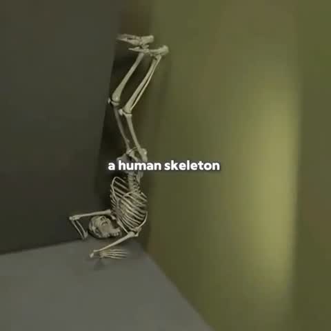  .....nerd   'recent posts' 