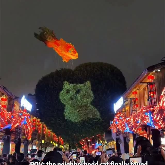  ........vel.club   'recent posts' 