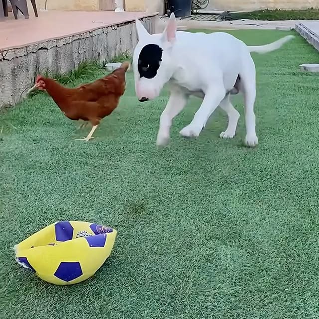  ........malsgram   'recent posts' 