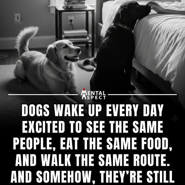  .......aspect   'recent posts' 