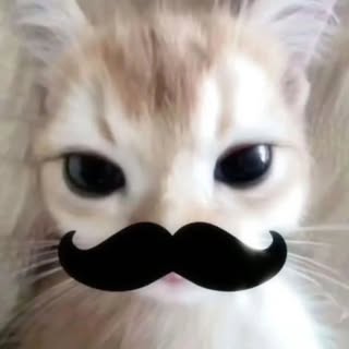 Hire ......nd.kits influencer with 279.1k