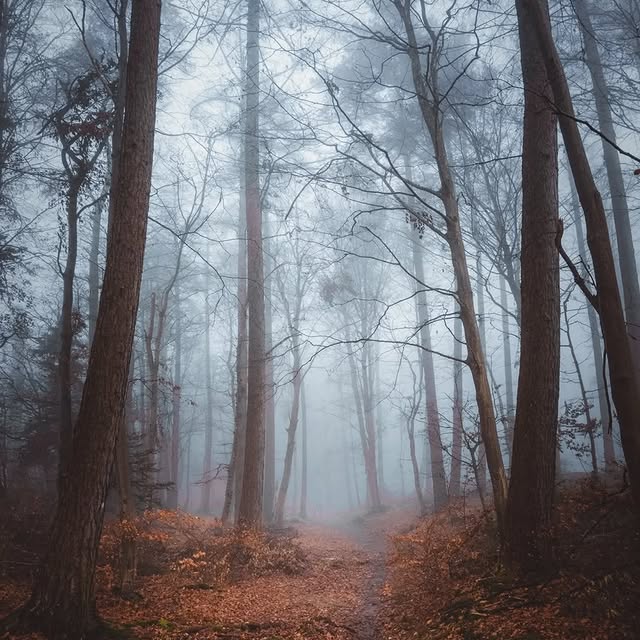  ..........discoverer   'recent posts' 