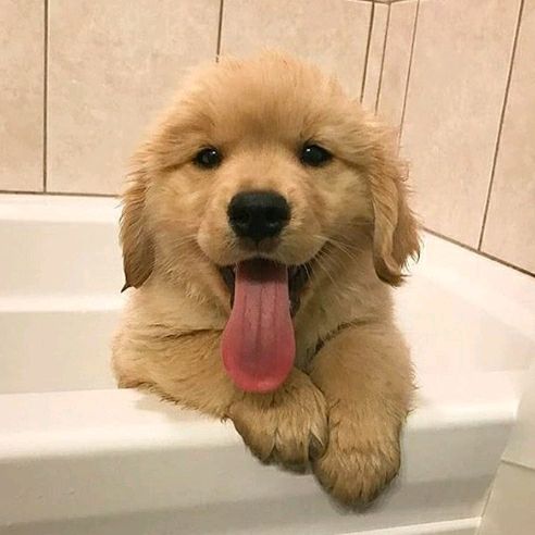 Hire ......ral2.0 influencer with 32.1k