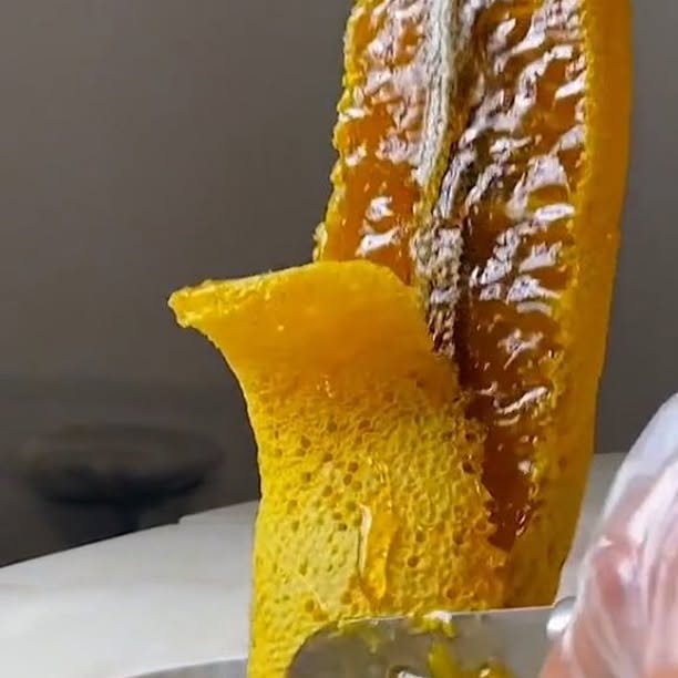  .........gdreamers   'recent posts' 