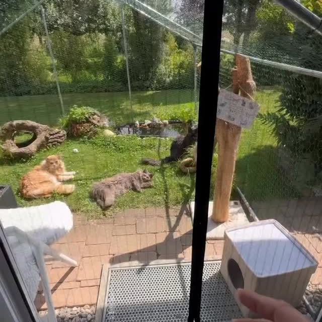  .......skittens   'recent posts' 