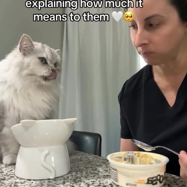  ...........irtonguesout   'recent posts' 