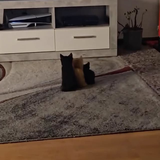  .....fweek   'recent posts' 