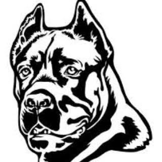 Hire .........pet_world influencer with 63.3k