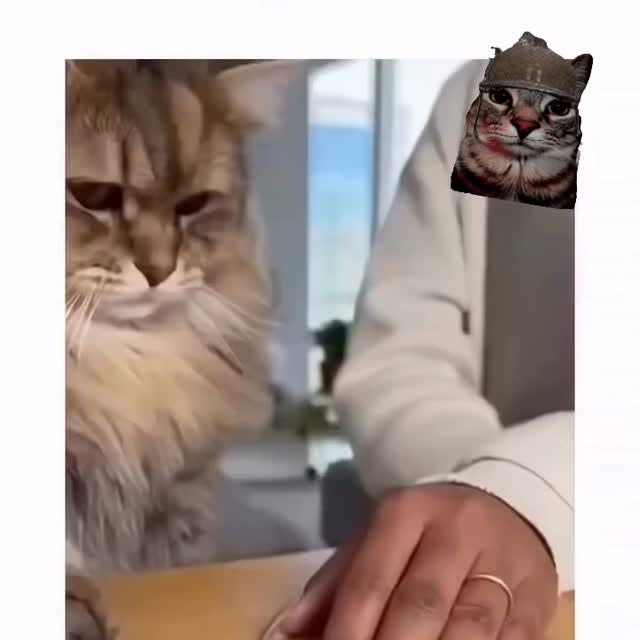  ....eowsy   'recent posts' 