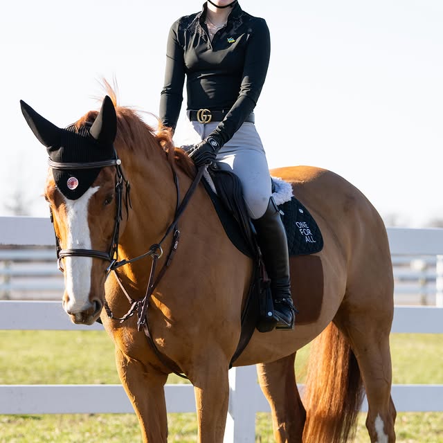  .....hulse   'recent posts' 