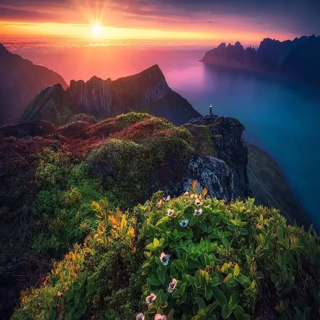  .....ature   'recent posts' 