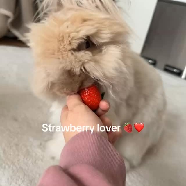  .....ideos   'recent posts' 