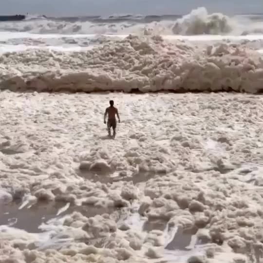  ......naturee   'recent posts' 