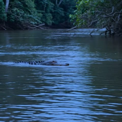  ......dreame   'recent posts' 