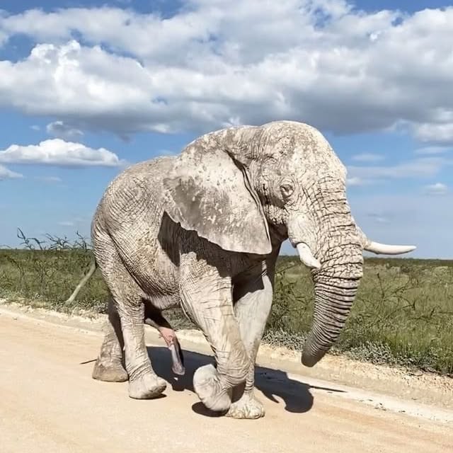  .....fervor   'recent posts' 