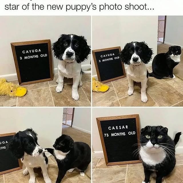  .......ndrulzz   'recent posts' 